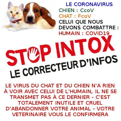 Intox coronavirus !!